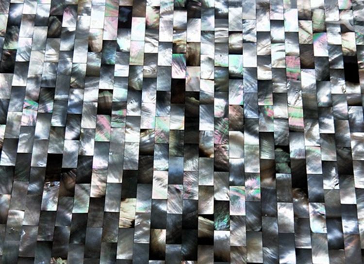 Mother Of Pearl Shell Iridescent Mosaics Black and White Interlocking Fresh Water Natural Shell Mosaic Tiling for Wall Design