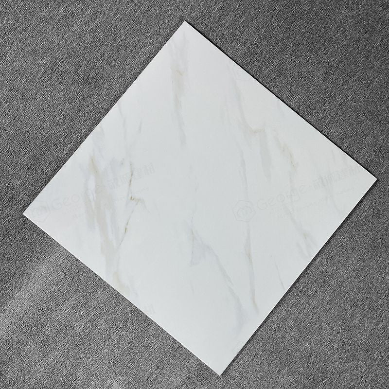 600x600mmFashional designed 600*600mm big size glazed porcelain kitchen wall and floor tiles